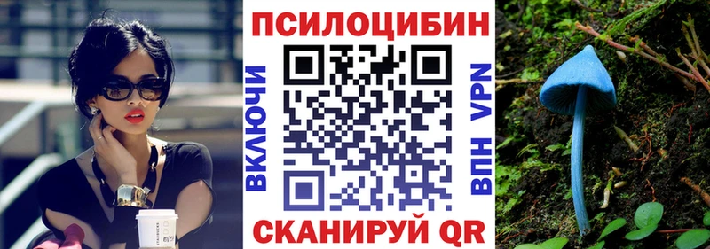 Галлюциногенные грибы Psilocybe  kraken как войти  Ак-Довурак 